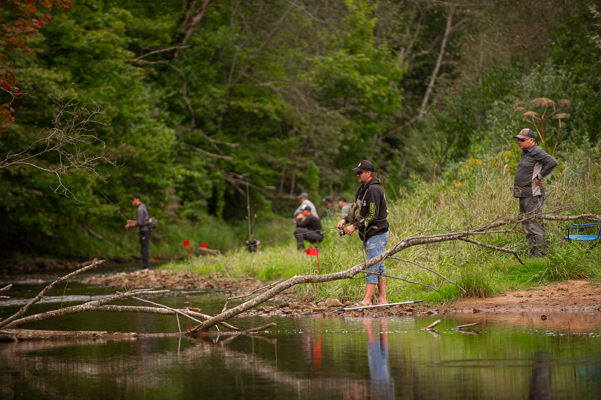 550348577 1243469421158328 701781972152003749 n