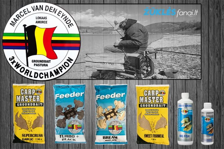 WhatsApp Image 2026 02 19 at 20.44.09